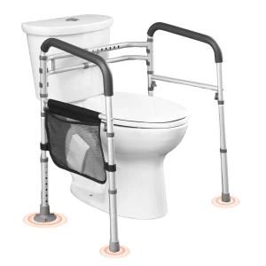 Toilet Safety Rail